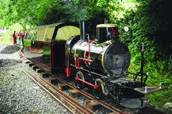 Laxey Mines Train